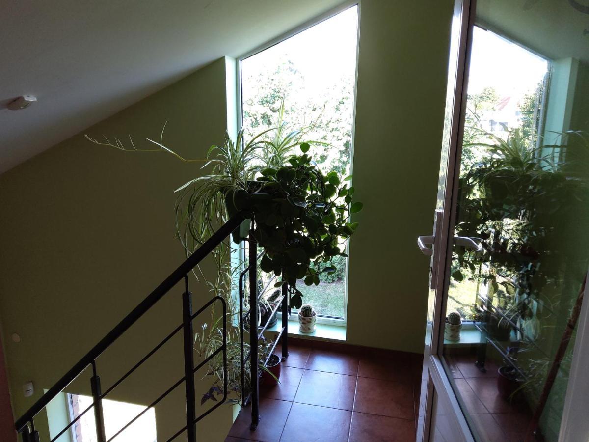 Apartamentai Geguciu Gatveje 克莱佩达 外观 照片